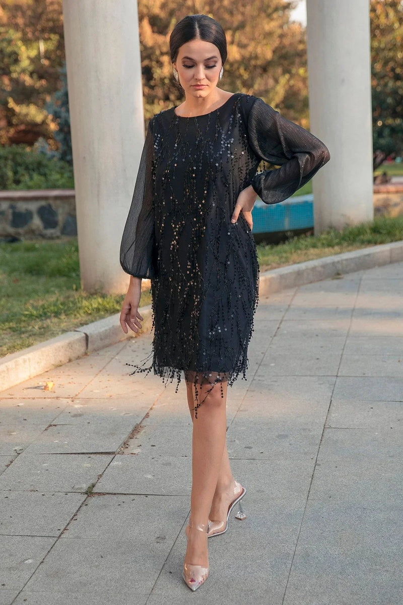 Women's Pulpayet Plus Size Dress Black