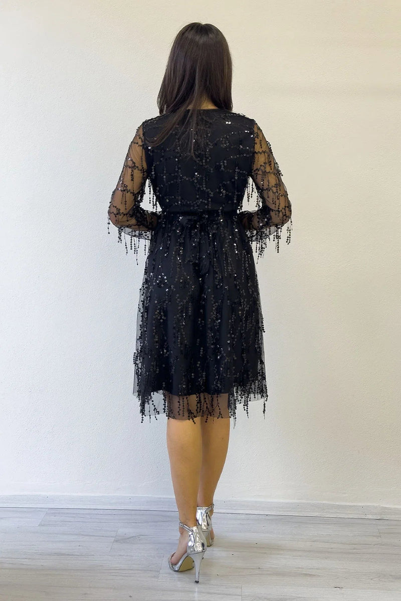 Women's Pulpayet V-Neck Tulle Plus Size Evening Gown-Black